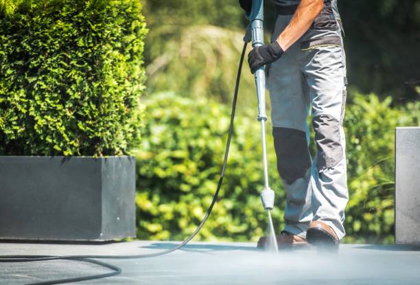 Best Graffiti Removal  in Reinholds, PA